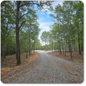 Gravel road curves through lush trees in the M & M Outdoors Campground