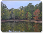 View of the pond at M & M Outdoors Campground.