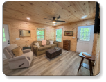 Beautiful wood surronding the cabin at M & M Outdoors Campground.
